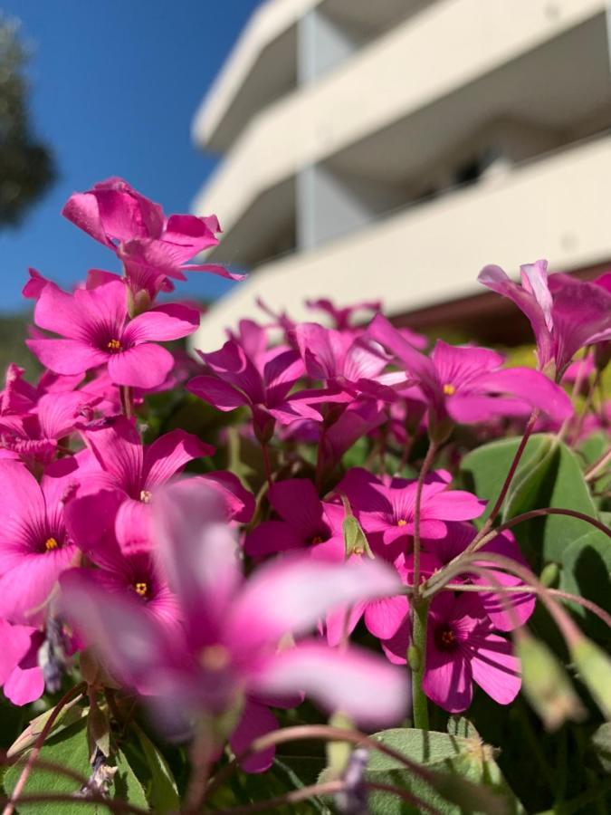 欧洲海滩公寓 卡瓦利诺 外观 照片